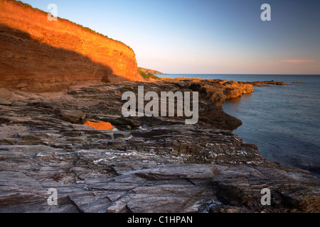 Niedrige Abend Sonne leuchtet die orangenen geerdeten Klippen sichern Wembury Strandbucht Devon UK Stockfoto