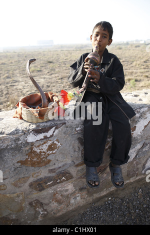 IND, India20110310, Schlangenbeschwörer Stockfoto