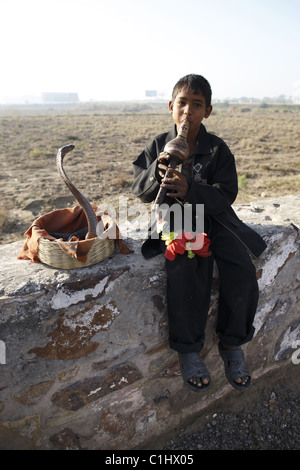 IND, India20110310, Schlangenbeschwörer Stockfoto