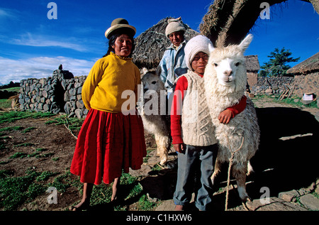 Peru, Puno Abteilung Altiplano Bereich, Landwirte, die Zucht von Alpakas rund um den Titicaca-See Stockfoto