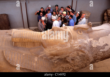 Ägypten, Unterägypten, Memphis, Weltkulturerbe der UNESCO, Gruppe von Touristen vor der liegenden Koloss des Ramses II. Stockfoto