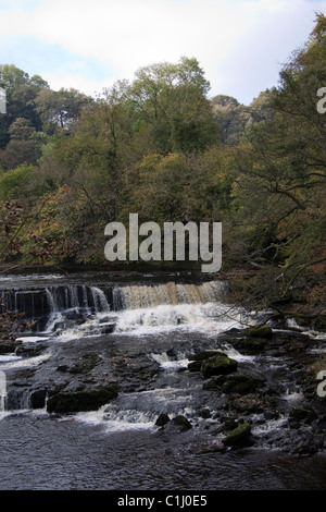 Aysgarth Wasser fällt in den Yorkshire Dales Stockfoto