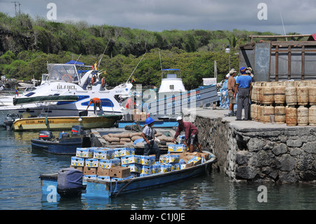 Hafen Puerto Ayora Santa Cruz Insel Galapagos Ecuador Stockfoto