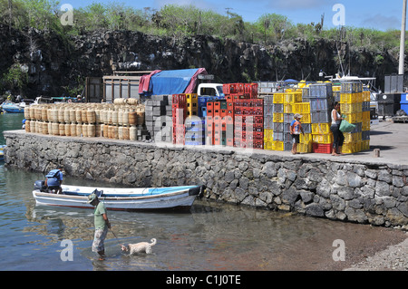 Hafen Puerto Ayora Santa Cruz Insel Galapagos Ecuador Stockfoto