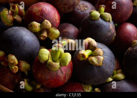 Lila Mangostan-Frucht Stockfoto