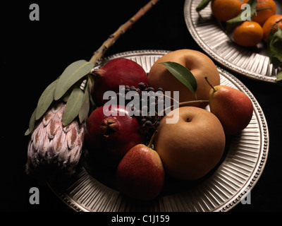 Das Protea Blume, Granatäpfel, Birnen, Beeren und Mandarinen Stockfoto