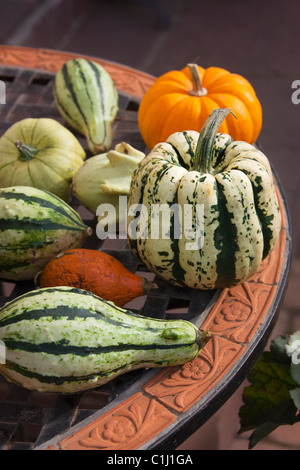 Dekorative Kürbisse und Kalebassen Stockfoto