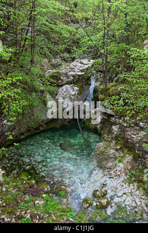 Soča, Slowenien Stockfoto