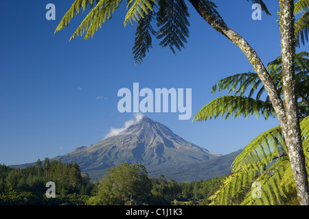 Mount Egmont, Neuseeland Stockfoto