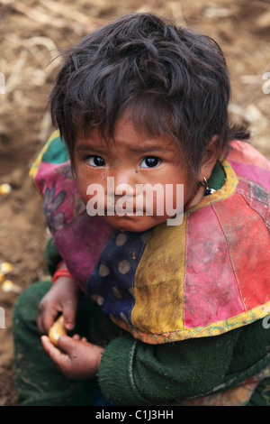 Nepalesische Mädchen in den Bergen von Nepal Stockfoto