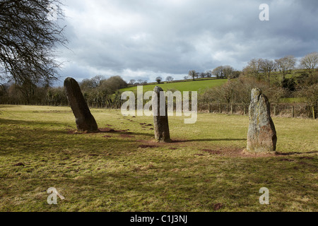 Harolds Steinen, neolithische Standing Stones, bei dem Dorf Trellech, South Wales, UK Stockfoto