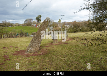 Harolds Steinen, neolithische Standing Stones, bei dem Dorf Trellech, South Wales, UK Stockfoto