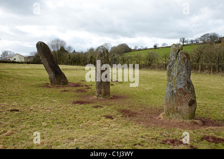 Harolds Steinen, neolithische Standing Stones, bei dem Dorf Trellech, South Wales, UK Stockfoto