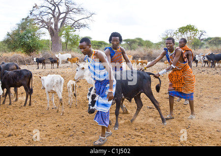Massai-Dorf, Serengeti Dessert, Tansania Stockfoto