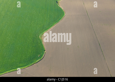 Luftaufnahme des Randes der Weizen Feld, Provinz Cadiz, Andalusien, Spanien Stockfoto
