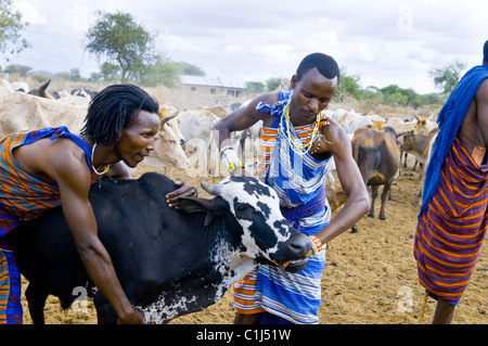 Massai-Dorf, Serengeti Dessert, Tansania Stockfoto