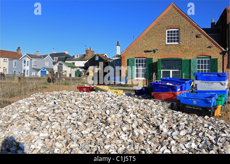 Austernschalen für das recycling am Strand außerhalb Royal Native Oyster Stores, Whitstable, Kent, England, Großbritannien, UK, Europa Stockfoto