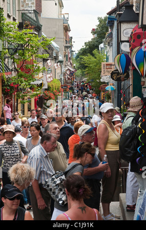 Quebec City, Quebec, Kanada. Quebec City, Quebec, Kanada. Rue du Petit Champlain (kleine Champlain-Straße), Altstadt. Stockfoto