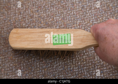 Nahaufnahme der älteren Frau Hand mit hölzernen behandelt Bürste mit harten Borsten aus nachhaltiger FSC-Holz Teppich Bürsten hergestellt Stockfoto