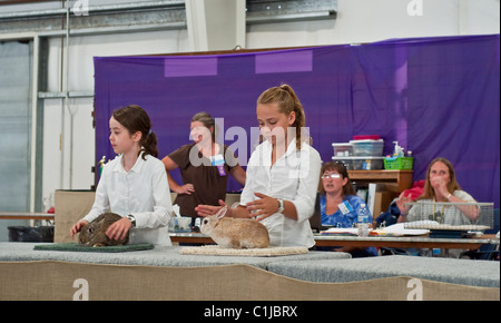 Diese Mädchen sind in 4H und bei der Linn County Fair-Kaninchen-Show beteiligt sind. Sie bereiten sich auf den Richter zu konkurrieren. Stockfoto