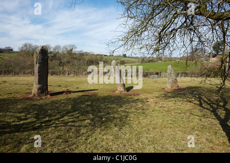 Harolds Steinen, neolithische Standing Stones, bei dem Dorf Trellech, South Wales, UK Stockfoto