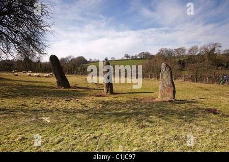 Harolds Steinen, neolithische Standing Stones, bei dem Dorf Trellech, South Wales, UK Stockfoto