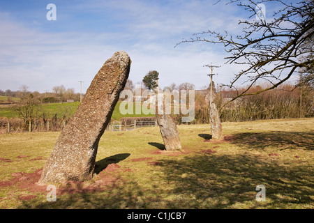 Harolds Steinen, neolithische Standing Stones, bei dem Dorf Trellech, South Wales, UK Stockfoto