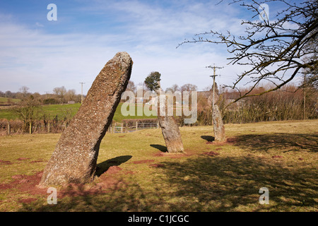 Harolds Steinen, neolithische Standing Stones, bei dem Dorf Trellech, South Wales, UK Stockfoto