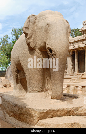 Monolithischen Felsen geschnitten Elefant neben Nakula Sahadeva Ratha, ca. 7. Jahrhundert A.D., Mahaballipuram, Tamil Nadu, Indien. Stockfoto