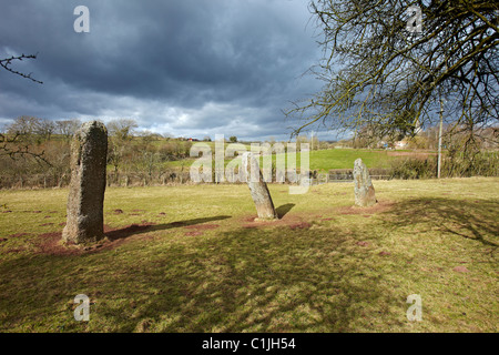 Harolds Steinen, neolithische Standing Stones, bei dem Dorf Trellech, South Wales, UK Stockfoto