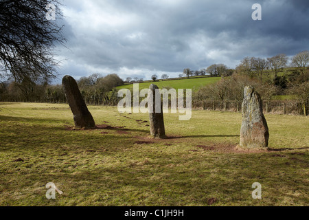 Harolds Steinen, neolithische Standing Stones, bei dem Dorf Trellech, South Wales, UK Stockfoto