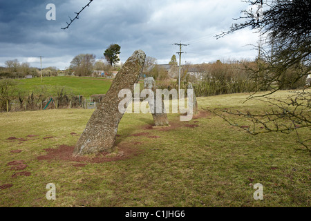 Harolds Steinen, neolithische Standing Stones, bei dem Dorf Trellech, South Wales, UK Stockfoto