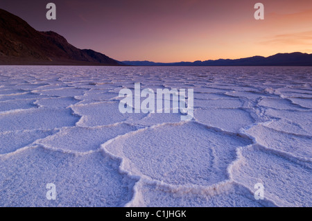 Death Valley National Park USA Badwater Basin Death Valley Salzpfanne Polygone bei Sonnenuntergang Badwater Basin Death Valley National Park, Kalifornien, USA Stockfoto