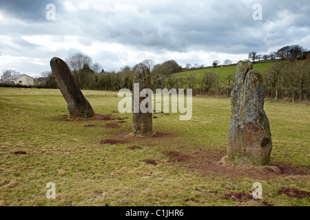 Harolds Steinen, neolithische Standing Stones, bei dem Dorf Trellech, South Wales, UK Stockfoto