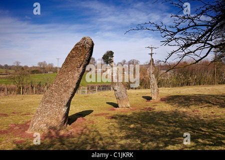 Harolds Steinen, neolithische Standing Stones, bei dem Dorf Trellech, South Wales, UK Stockfoto