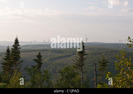 Quebec, Kanada. Windturbinen Sie Bauernhof-in Carleton-Sur-Mer. Stockfoto