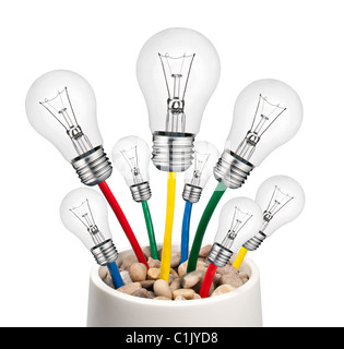 Alternative neue Ideen - Glühbirnen mit Kabel wächst in einem Topf Isolated on White Background Stockfoto