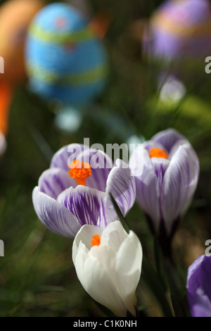 Ostern Stockfoto