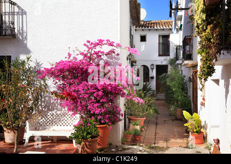 Typische mediterrane Haus Veranda mit Blumen, Altea La Vieja, Altea La Vella, Altea, Alicante, Costa, Blanca, Valencia, Spanien Stockfoto
