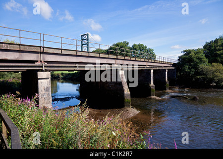 Steel Railway Bridge mit der Exeter nach Plymouth Main Line über den River Dart, Totnes, South Hams, Devon, England, VEREINIGTES KÖNIGREICH Stockfoto