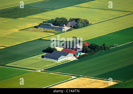 Niederlande, Nordholland, Felder und Farm (Luftbild) Stockfoto