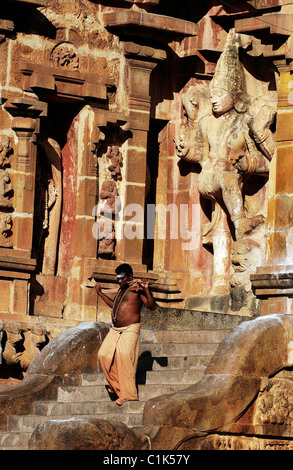 Indien, Bundesstaat Tamil Nadu, der Brihadishwara-Tempel in Thanjavur (Tanjore), Pilger Stockfoto