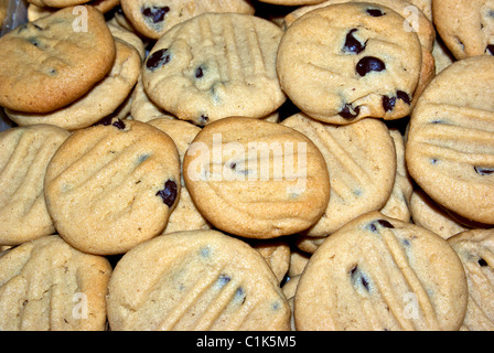 Blech gebacken frisch hausgemachte Peanut Butter chocolate Chip cookies Stockfoto