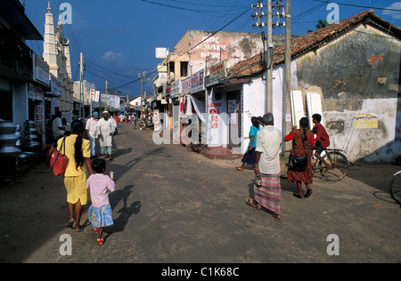 Sri Lanka, Nord-West Region, Chilaw Stockfoto