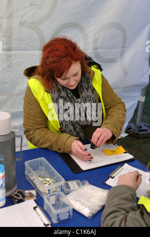 Volunteer bei Brueton Parkrun Scannen von Barcodes, Solihull, Großbritannien Stockfoto
