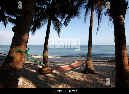 Hängematte unter Palmen am Strand in der Nähe von Montezuma, Halbinsel Nicoya, Costa Rica Stockfoto