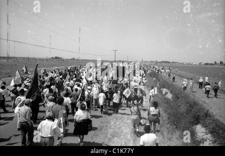 Tausende marschieren während UFW Führer Cesar Chavez Beerdigung Stockfoto