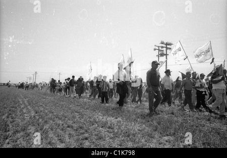 Tausende marschieren während UFW Führer Cesar Chavez Beerdigung Stockfoto