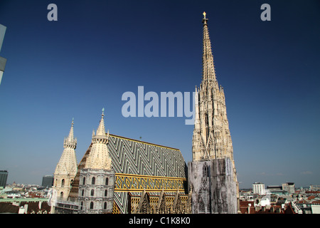 Stefansdom Kathedrale Vienna Stockfoto