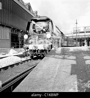 1960er Jahre, der luxuriöse Golden Arrow Zug am Victoria Station, London, mit pullman Cars. Zuvor dampfbetrieben, wurde es 1961 mit Elektroantrieb betrieben. Stockfoto